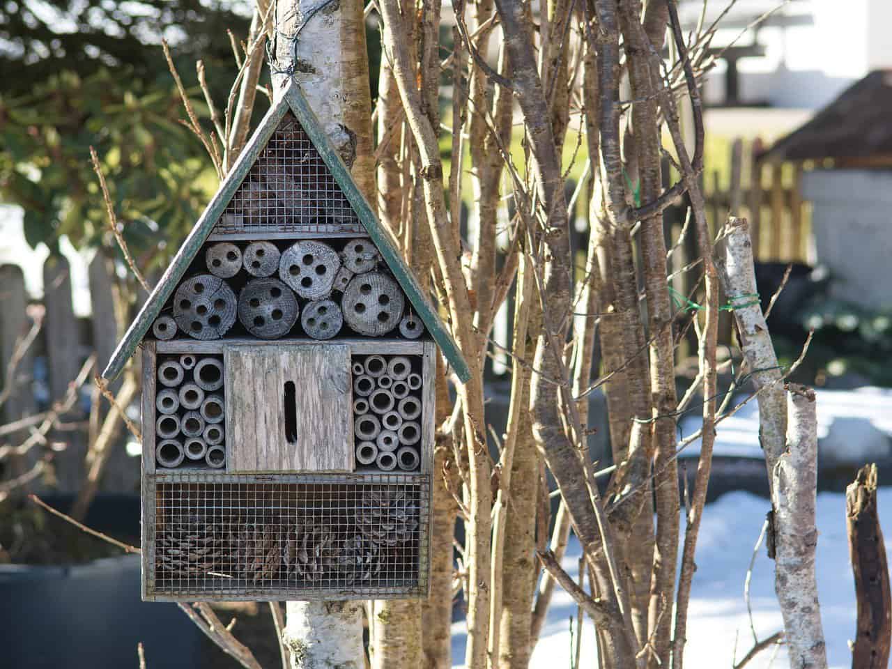 soluciona la deuda de Ogisaka Garden en Denia, Alicante, anula el contrato o desvinculate.